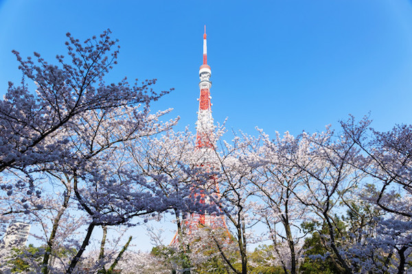 芝東照宮