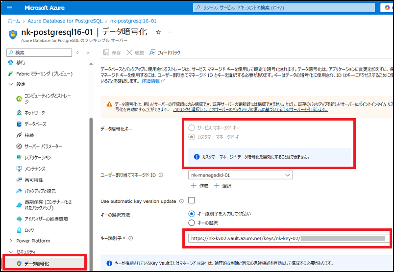 tx_postgres_azcmk_db_08a.png