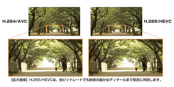 同一条件（ビットレート：2.5Mbps、フレームレート：29.97fps、画像サイズ：1080p）におけるH.264/AVCとH.265/HEVCの画像比較