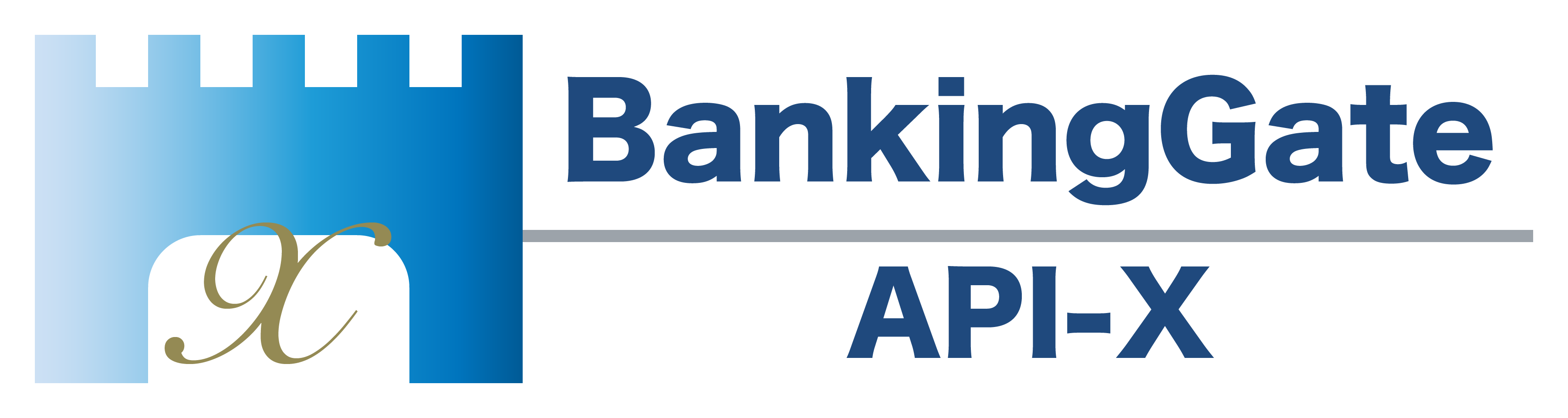 銀行API接続システム「BankingGate API-X」