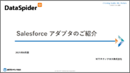 Salesforce アダプタのご紹介