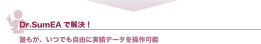 Dr.SumEAで解決!　誰もが、いつでも自由に実績データを操作可能