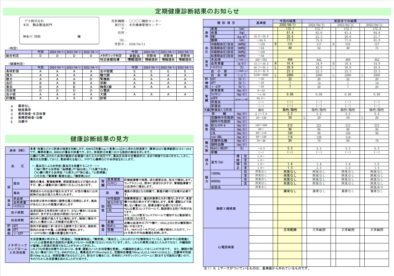 HM-neoの帳票出力画面。健診個人票や各種意見書を出力できる