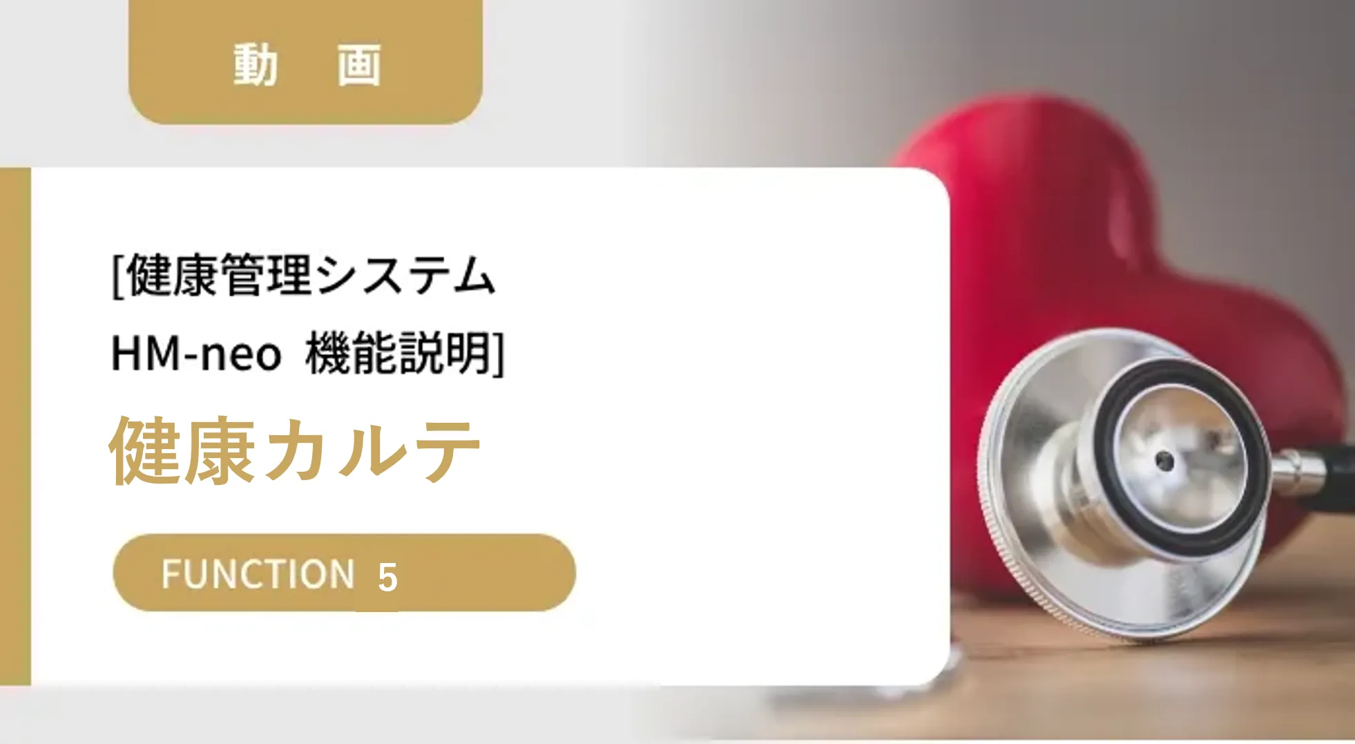 HM-neo機能説明動画【健康カルテ】
