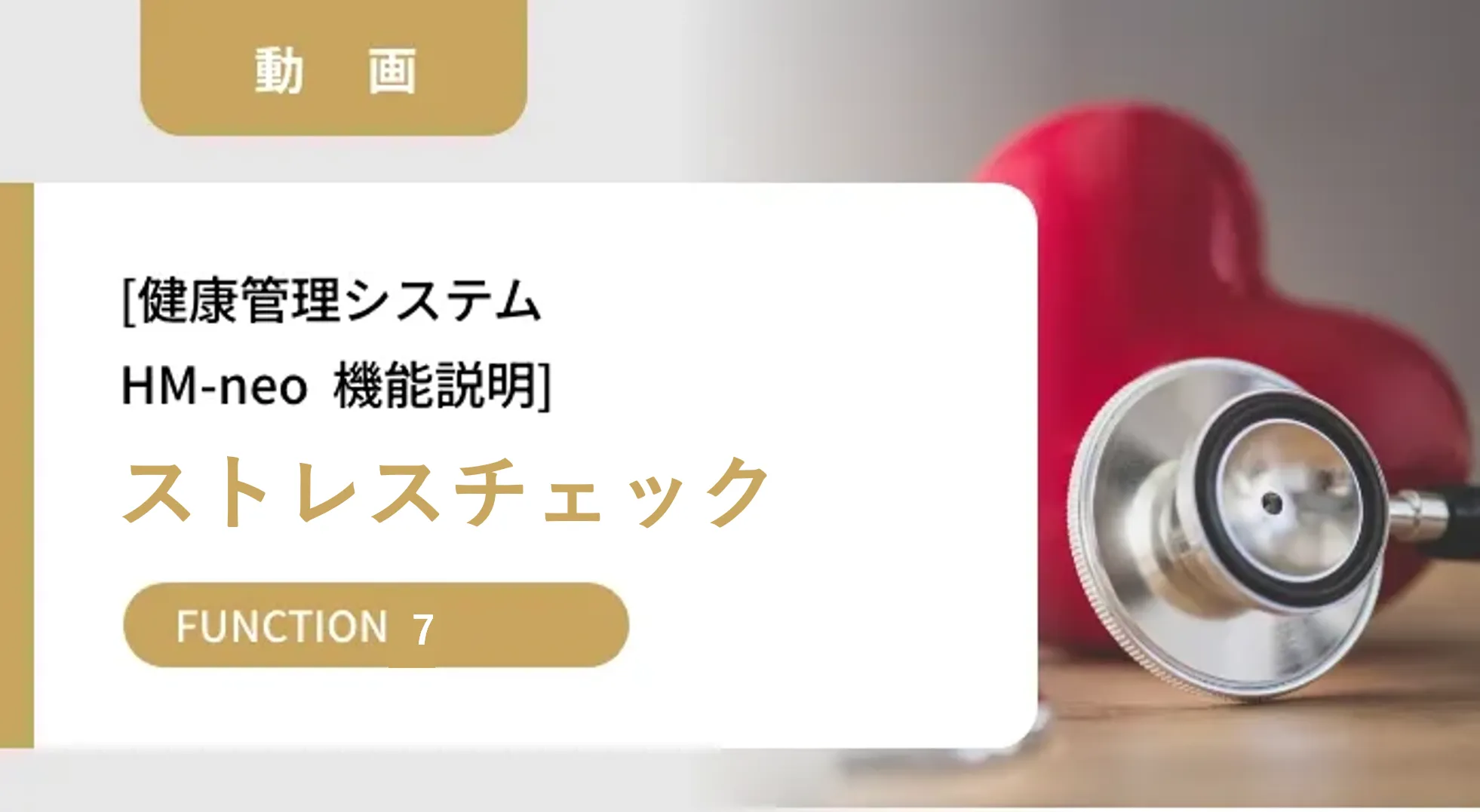 HM-neo機能説明動画【ストレスチェック】