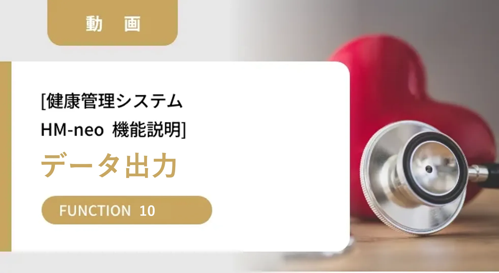 HM-neo機能説明動画【データ出力】