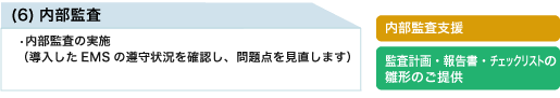 (6)内部監査