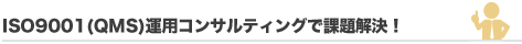 ISO 9001(QMS)運用コンサルティングで課題解決！