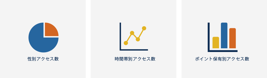 性別・時間帯別・ポイント保有別のアクセス数など