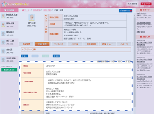 ケア方針や対策案を登録