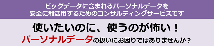 使いたいのに使うのが怖いパーソナルデータ,ビッグデータを安全に利活用するためのコンサル