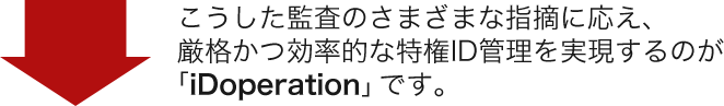 こうした監査のさまざまな指摘に応え、厳格かつ効率的な特権ID管理を実現するのが「iDoperation」です。