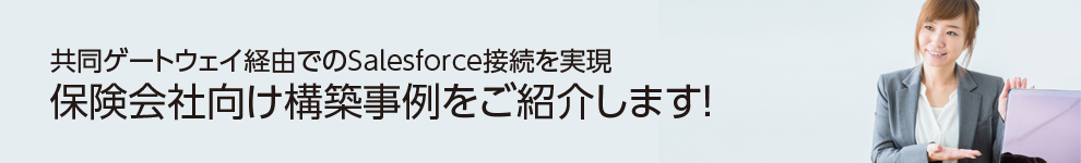 保険会社構築事例