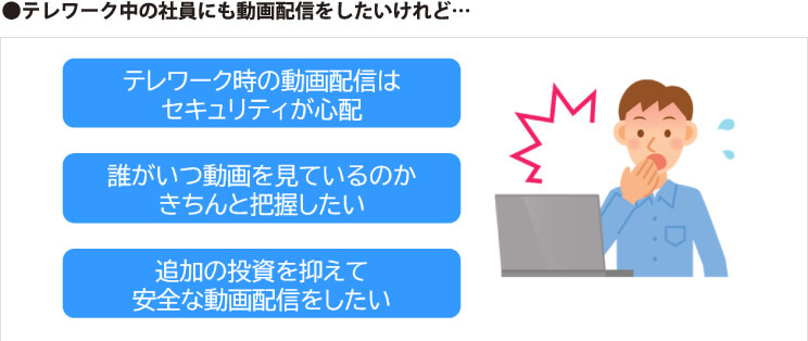 企業向け動画配信はviaPlatzの2段階認証で安心利用