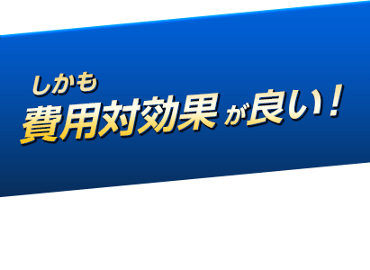 しかも費用対効果が良い！