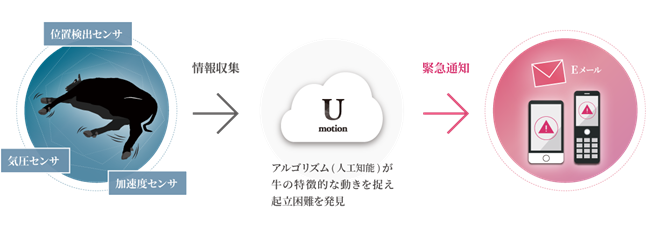 牛の行動モニタリングシステム「U-motion®」のイメージ