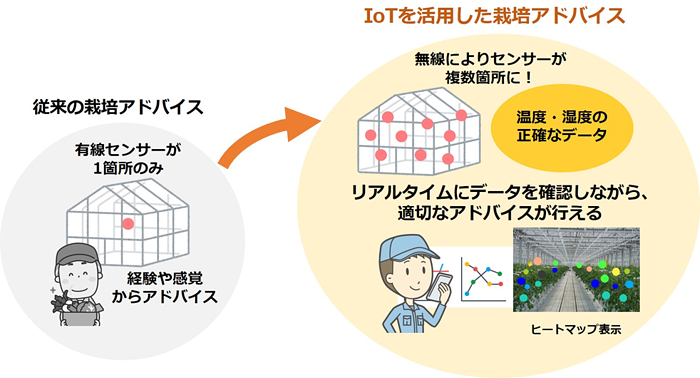 天保6年 15年 創業のタキイ種苗と新たな農業アドバイスを目指し トマトの品質安定化に向けiotを活用した共同実験を開始 18年度 ニュース Nttテクノクロス株式会社